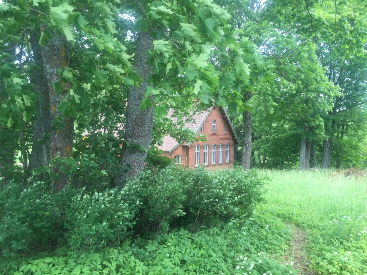 Stara Szkola Nad Jeziorem Czarne  Exterior foto